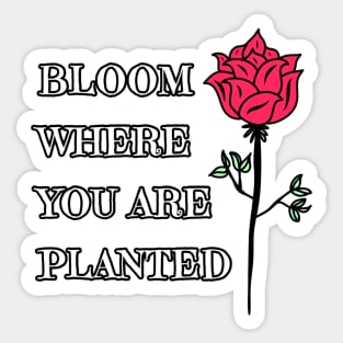 Bloom Where You Are Planted Sticker